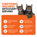 Scoochie Pet Salmon, Chicken Stew Wet Cat Food (4, 8, or 16-Pack) product image
