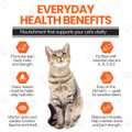 Scoochie Pet Salmon, Chicken Stew Wet Cat Food (4, 8, or 16-Pack) product image