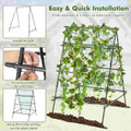 Cucumber Trellis  product image