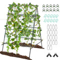 Cucumber Trellis  product image