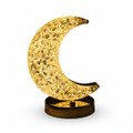 Rechargeable LED Acrylic Crystal Touch Light Lamp product image