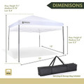 Arrowhead 10'x10' Pop-up Canopy and Shelter product image