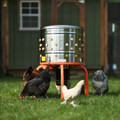 SuperHandy Chicken Plucker product image