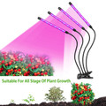 4-Head LED Grow Light with Stand product image