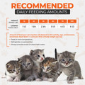 Scoochie Pet Wet Dog & Cat Food (12 Cans) product image