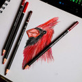 Coloré 48-Piece Colored Pencil Set product image