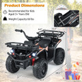 Kids' Electric Ride-on ATV  product image