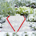 Garden Row Accelerator Plant Cover (4-Pack) product image