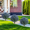 24" Artificial Lavender Topiary Ball Trees (2-Pack) product image