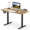 48” x 24” Electric Standing Desk with LED Display and 2 Memory Presets product image