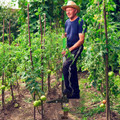 Stand Up Weed Puller product image