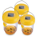 Solar Wasp Trap (3-Pack) product image