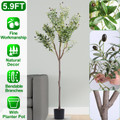 5.9-foot Artificial Olive Tree product image