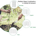 Tomato Cage / Plant Trellis (4-Pack) product image