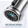 WaterSong Kitchen Sink Pull-Down Faucet product image