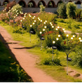 Solar Firefly Swaying Garden Lights product image