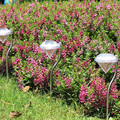 Diamond Solar Garden Light (4-Pack) product image