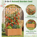 Wooden Raised Garden Bed with Trellis (1 or 2-Pack) product image