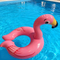 Kids' Animal Inflatable Swim Ring product image