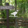 Steel Bald Eagle Tree Stake for Garden or Lawn product image