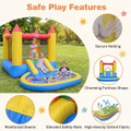 Inflatable Bounce House with Splash Pool (With or Without Blower) product image