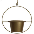 6-Inch Metal Hanging Pot Wall Planters product image
