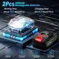 2-in-1 Cordless Pole Saw & Chainsaw product image