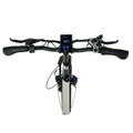 GoPowerBike GoExpress V2 Folding Electric Bike product image