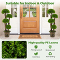 Artificial Cypress Topiary Tree (1- to 2-Pack) product image