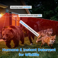 3-in-1 Ultrasonic Solar Animal Repeller (1- or 2-Pack) product image