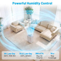 Dehumidifier with Drain Hose  product image