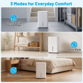 Dehumidifier with Drain Hose  product image