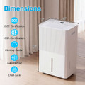 Dehumidifier with Drain Hose  product image