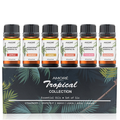 Premium Fragrance Aromatherapy Essential Oils (Set of 6) product image