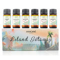 Premium Fragrance Aromatherapy Essential Oils (Set of 6) product image