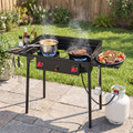 2-Burner Propane Gas Stove product image
