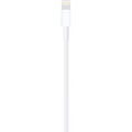 Apple  Lightning to USB-Cable  product image