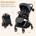 Babyjoy Foldable Baby Stroller  product image
