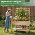Wooden Raised Garden Bed with Trellis  (Pack of 1 or 2) product image