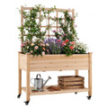 Wooden Raised Garden Bed with Trellis  (Pack of 1 or 2) product image