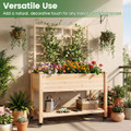 Wooden Raised Garden Bed with Trellis  (Pack of 1 or 2) product image