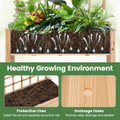 Wooden Raised Garden Bed with Trellis  (Pack of 1 or 2) product image