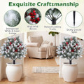 Artificial Cedar Topiary Ball Tree (2-Pack) product image