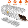 Foldable Humane Mouse and Rat Live-Catch Cage  product image