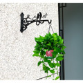 Decorative Wall Plant Hook with Unique Bird Design product image