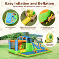 Inflatable Water Slide Park with Slide, Jumping Area and Climbing Walls product image