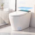 ADA Height Electric One-Piece Toilet with Multiple Flushing Options product image