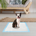 Puppy Training Pads (100-Pack) product image