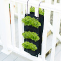 Indoor/Outdoor Organic Hanging Herb Garden Kit product image