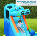 Inflatable Hippo Climbing Wall and Splash Pool product image